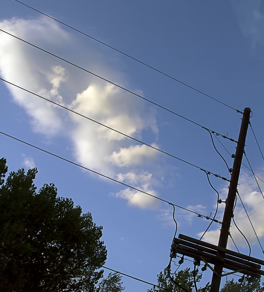 Famous Examples That Captured the World's Attention (Image Credits: Flickr)