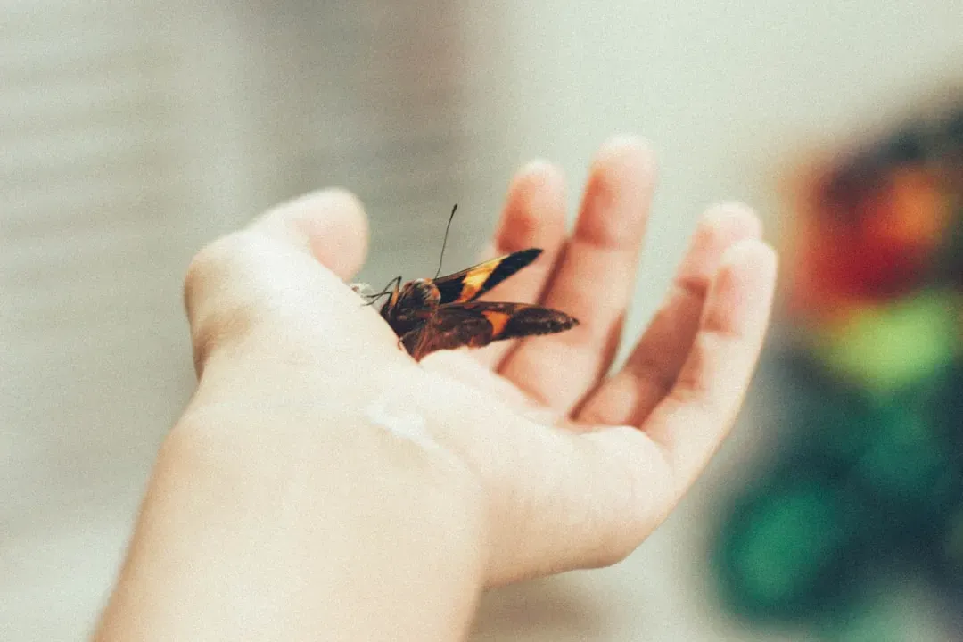 How to Live Differently When You Take Animal Consciousness Seriously (Image Credits: Unsplash)