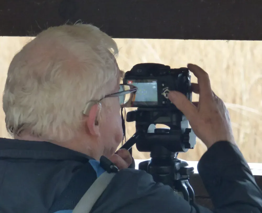 How You Can Engage: Turning Curiosity into Action (Image Credits: Wikimedia)