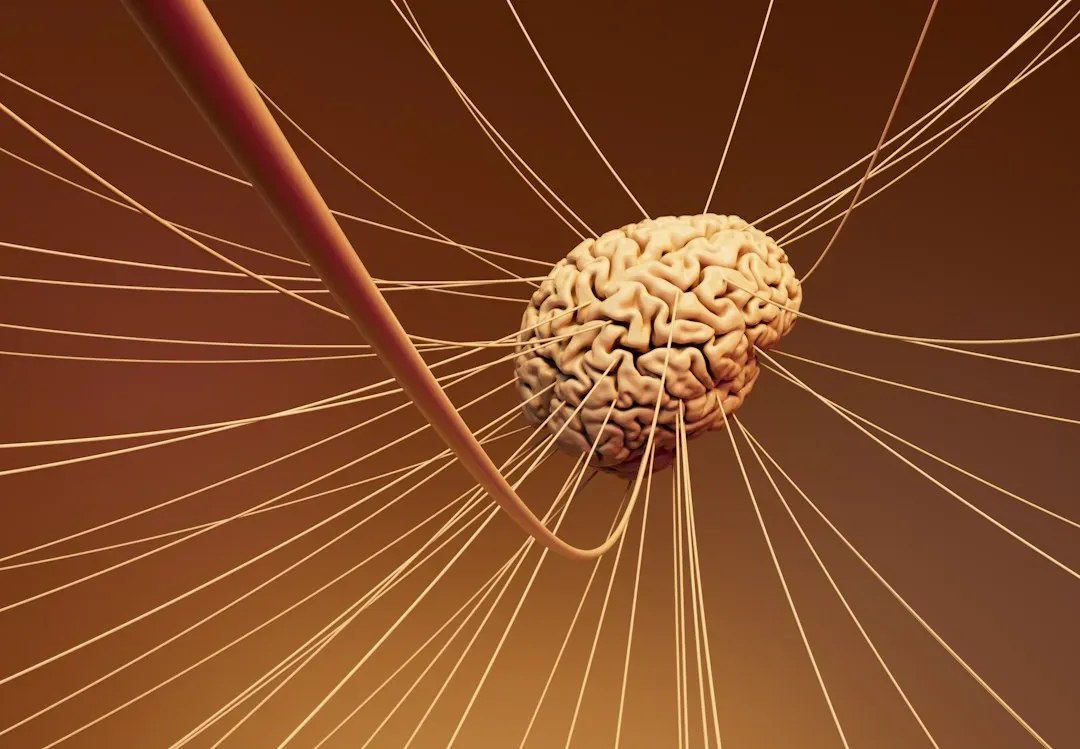 The Brain That Rewires Itself: Neuroplasticity Beyond the Textbook (Image Credits: Unsplash)