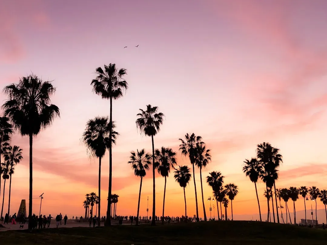 Why Los Angeles Sunsets Look the Way They Do (Image Credits: Unsplash)