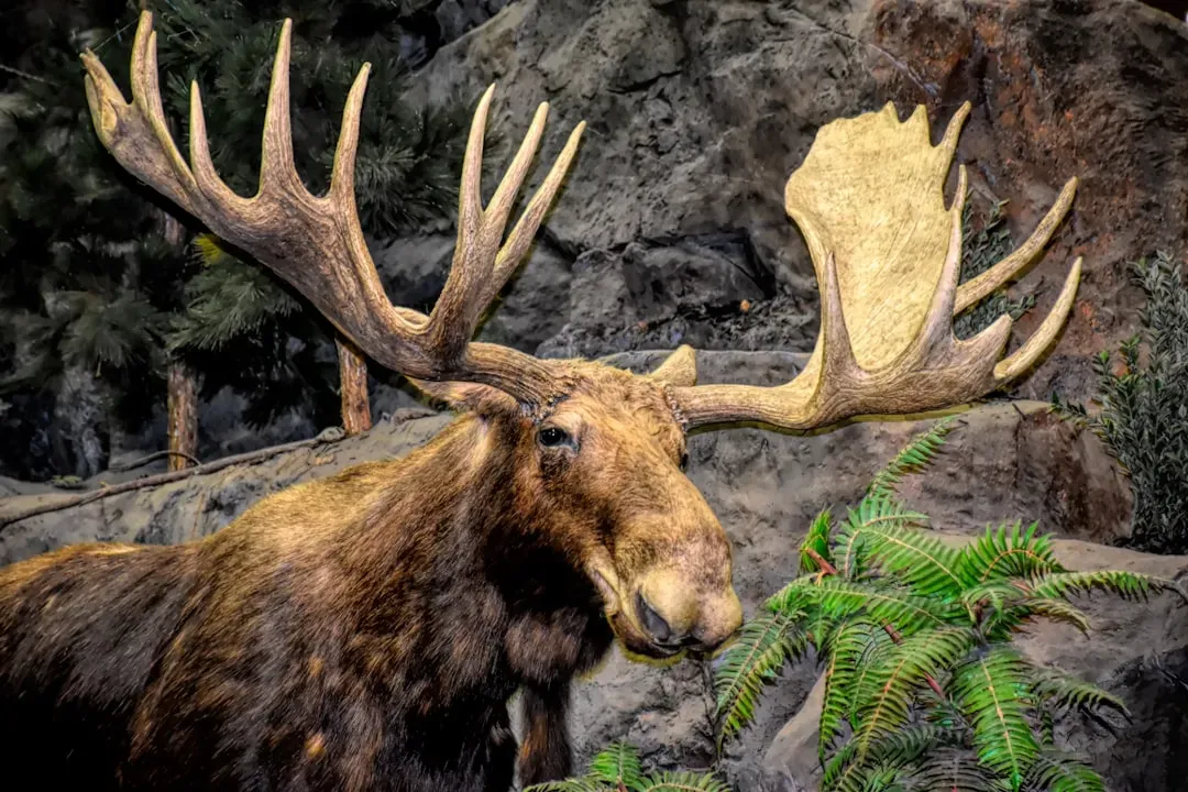 2. Their Antlers Are Living Bone That Grow at an Incredible Speed (Image Credits: Unsplash)
