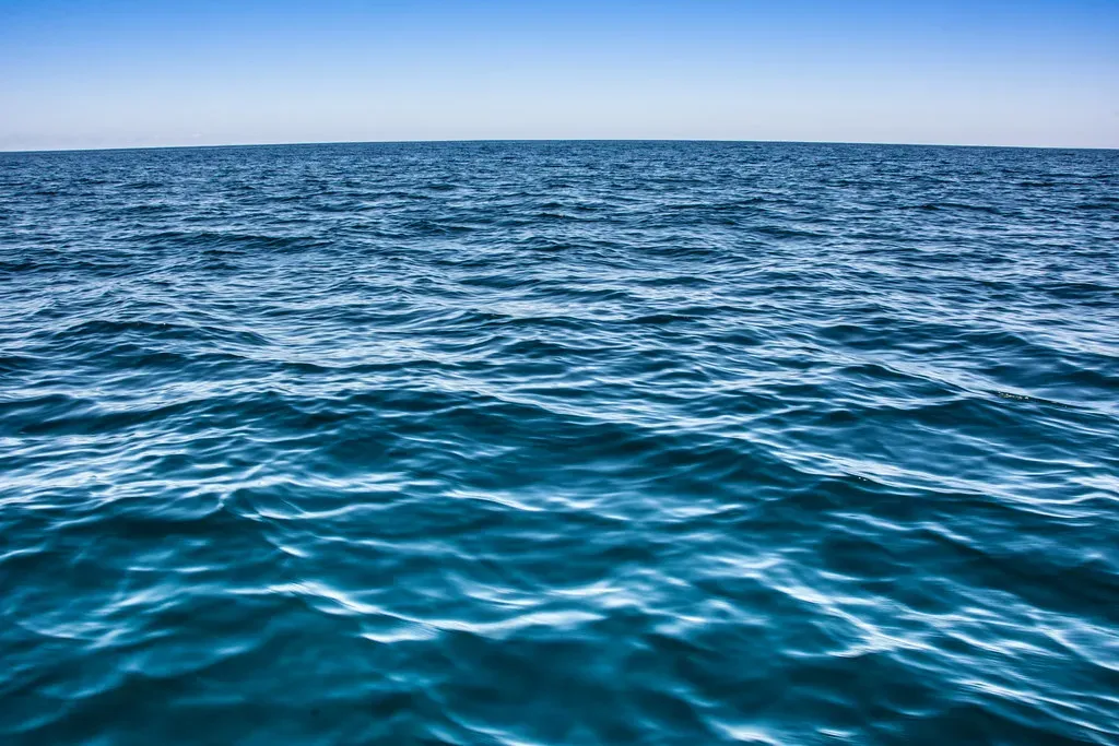 The Invisible Fact: About Half Your Oxygen Comes From the Ocean (apasciuto, Flickr, CC BY 2.0)
