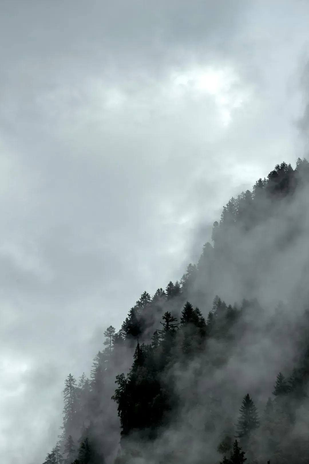 Why It Matters: Myths as Early-Warning Systems (Image Credits: Unsplash)