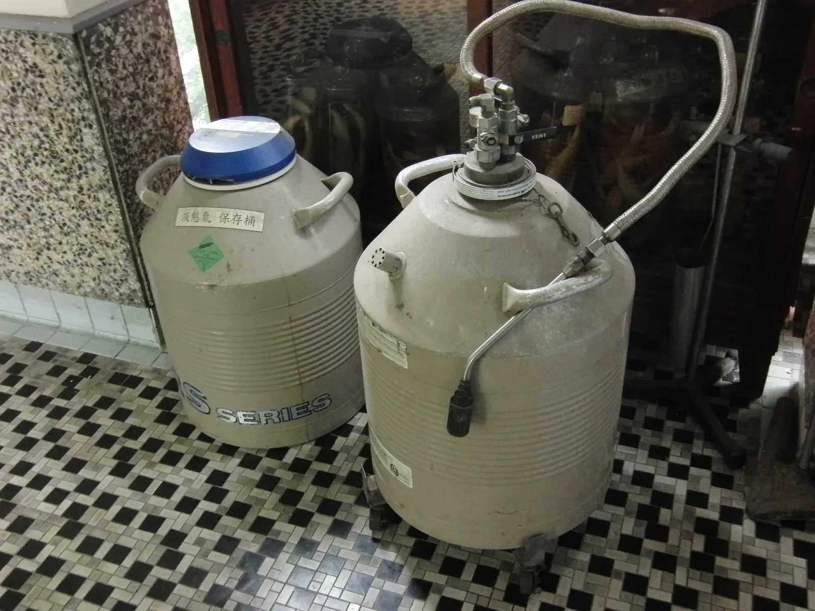 #3 - The Freezer Full of “Failed” Cloning Attempts (By GOKLuLe 盧樂, CC BY-SA 3.0)