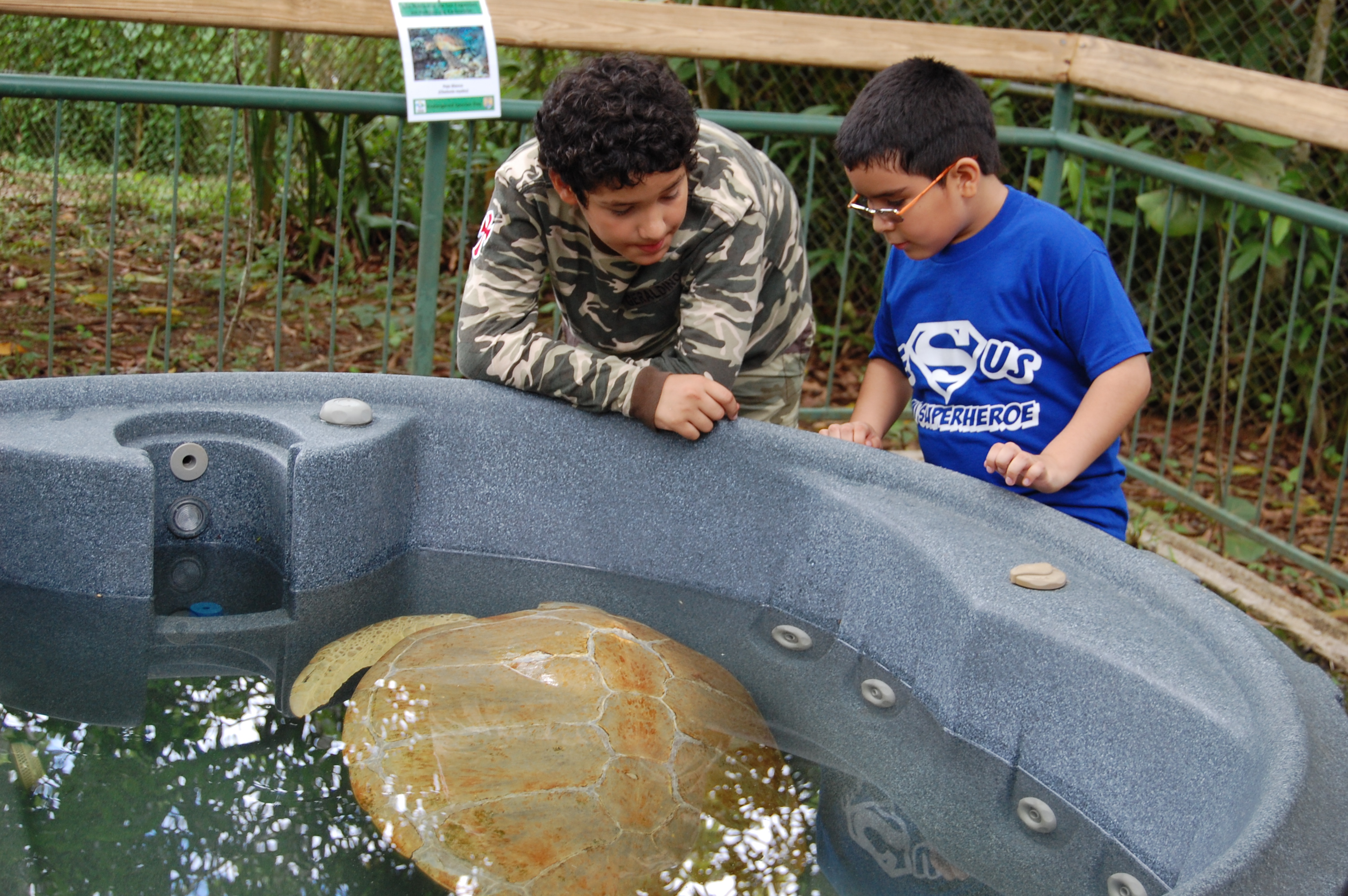 Community Education Drives Conservation Success (Image Credits: Wikimedia)