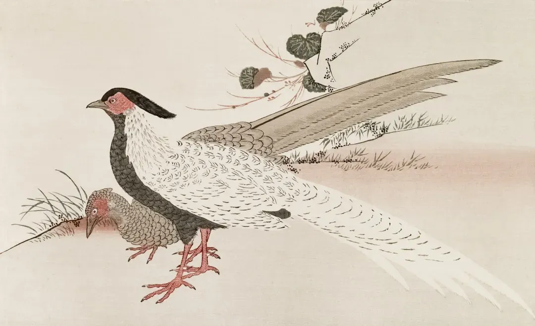 Pisces – The Huma Bird (Image Credits: Unsplash)