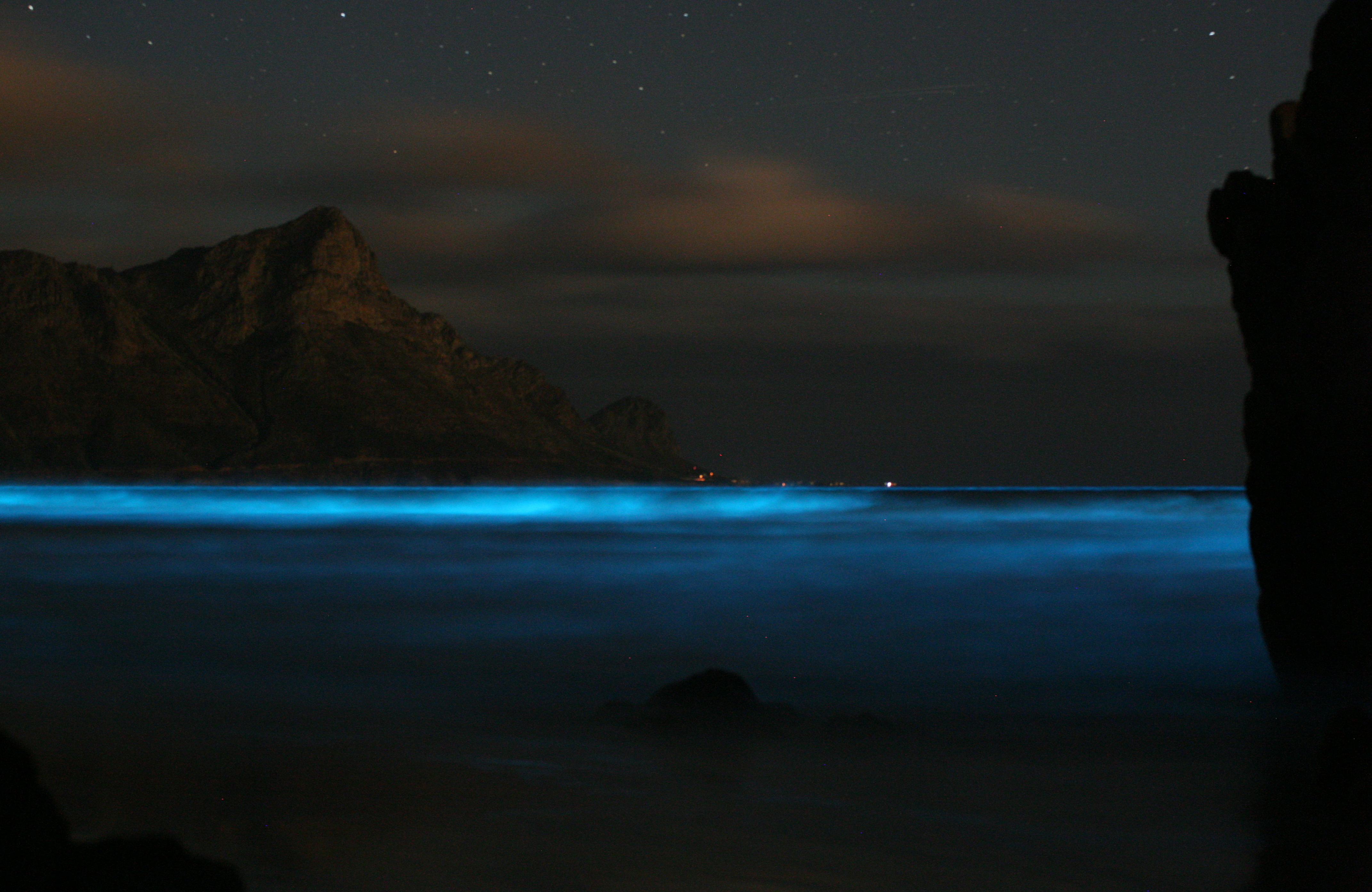 What the Glows Really Are (Image Credits: Wikimedia)
