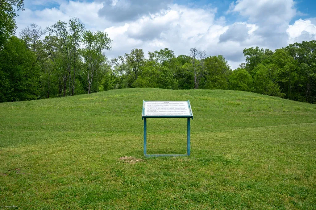 2. Poverty Point: A Megasite in the American South with No Known Builders’ Voice (xiquinhosilva, Flickr, CC BY 2.0)