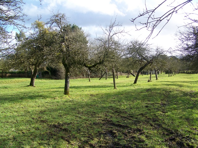 Social Reserve with Selective Warmth (Image Credits: Wikimedia)