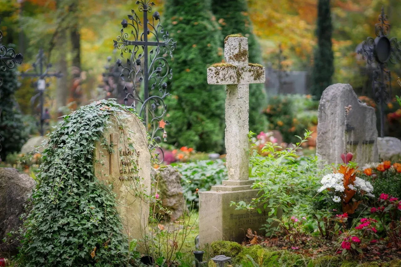 How This View Changes Your Sense of Self and Death (Image Credits: Pixabay)