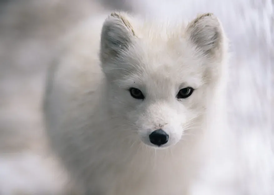 Food booms, busts, and desperate detours (Image Credits: Flickr)