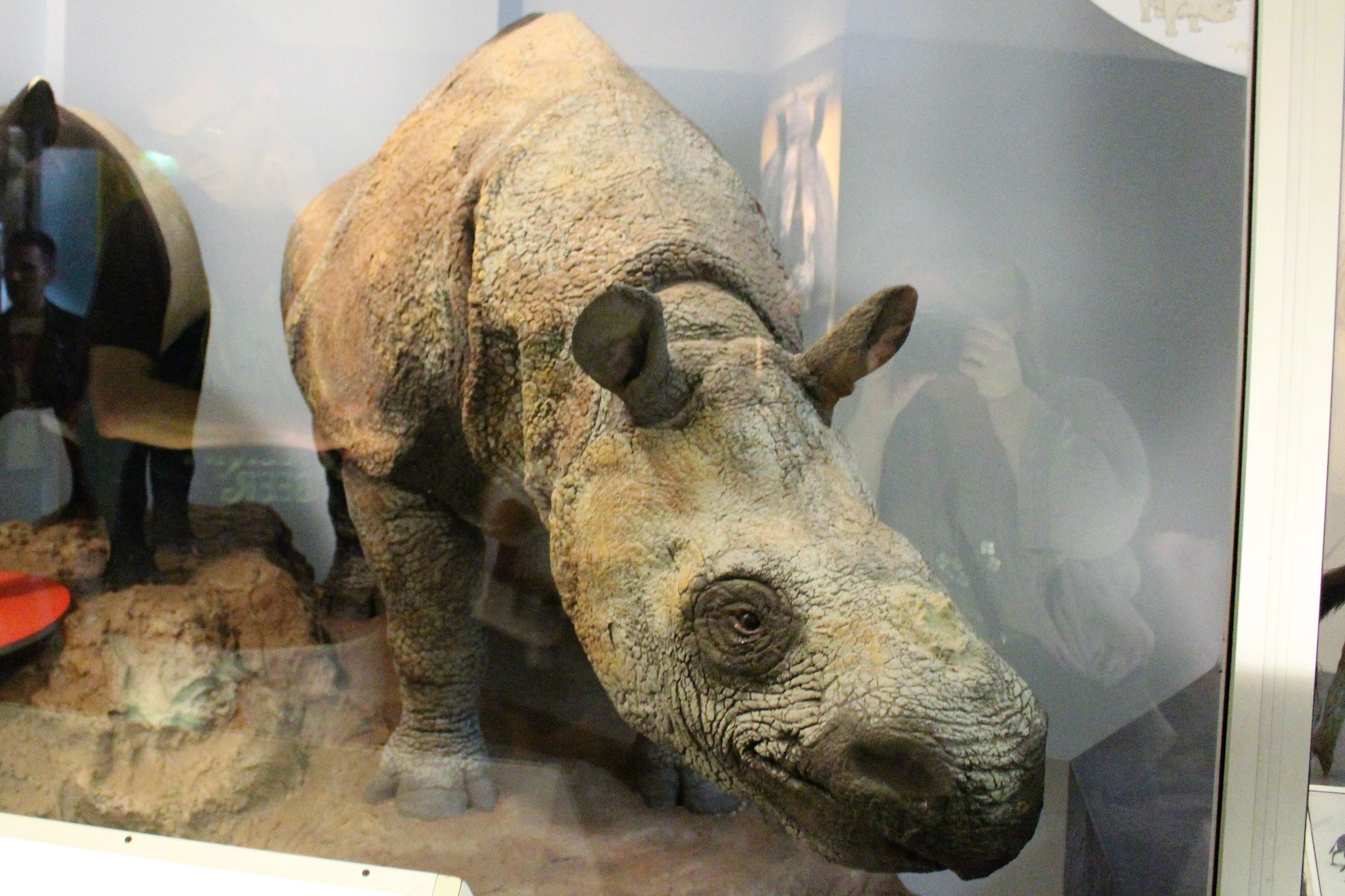 Taurus - The Earth's Gentle Guardian (Image Credits: Wikimedia)