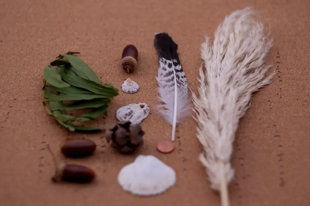 Medicine From the Earth: Botanical Wisdom and Healing Practices (Image Credits: Unsplash)