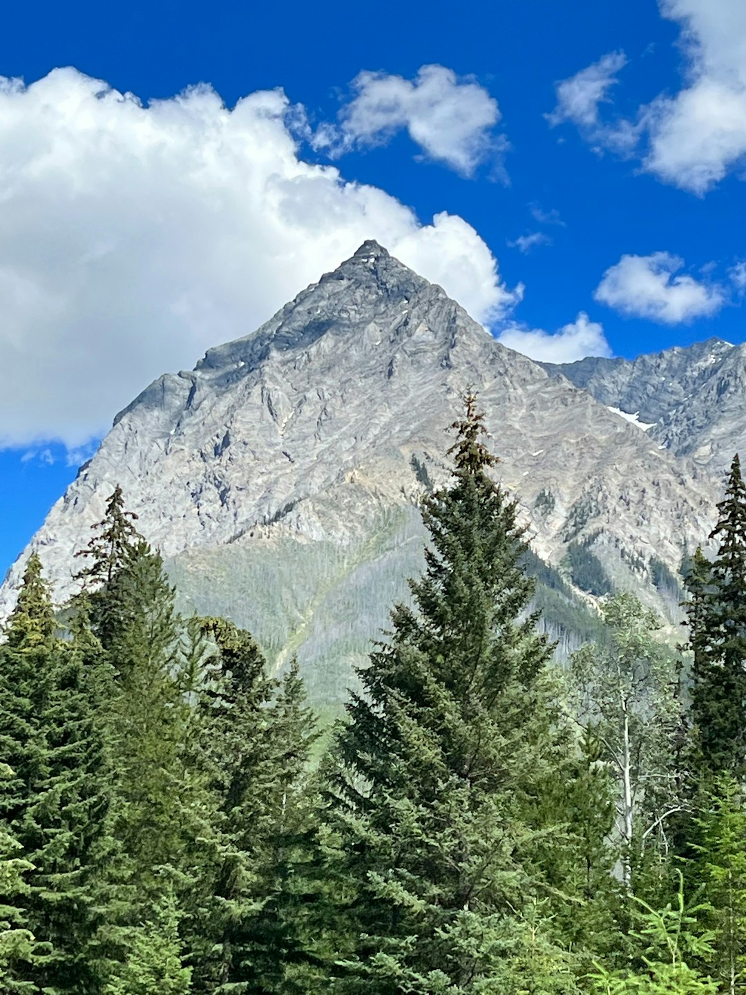 A Dozen Peaks Still on the Move (Image Credits: Unsplash)