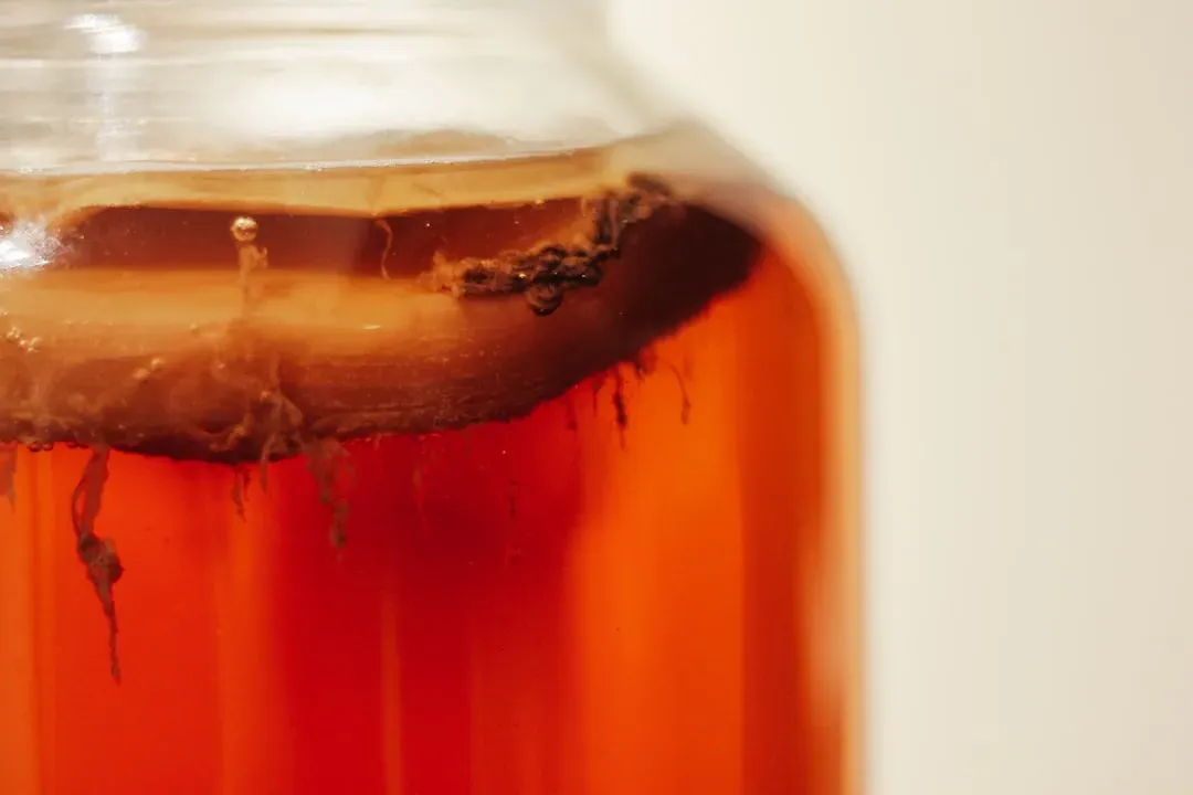 #6 Fluid-Preserved Specimens with Corroded Tags (Image Credits: Unsplash)
