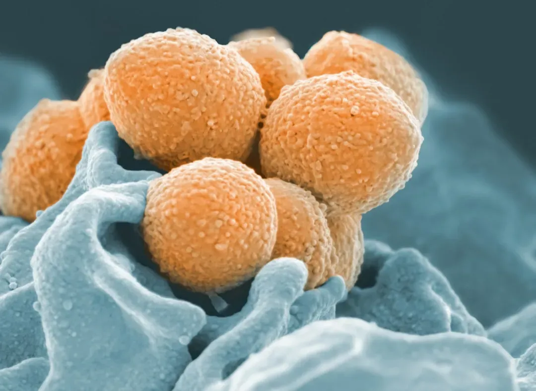 Conclusion (Image Credits: Unsplash)