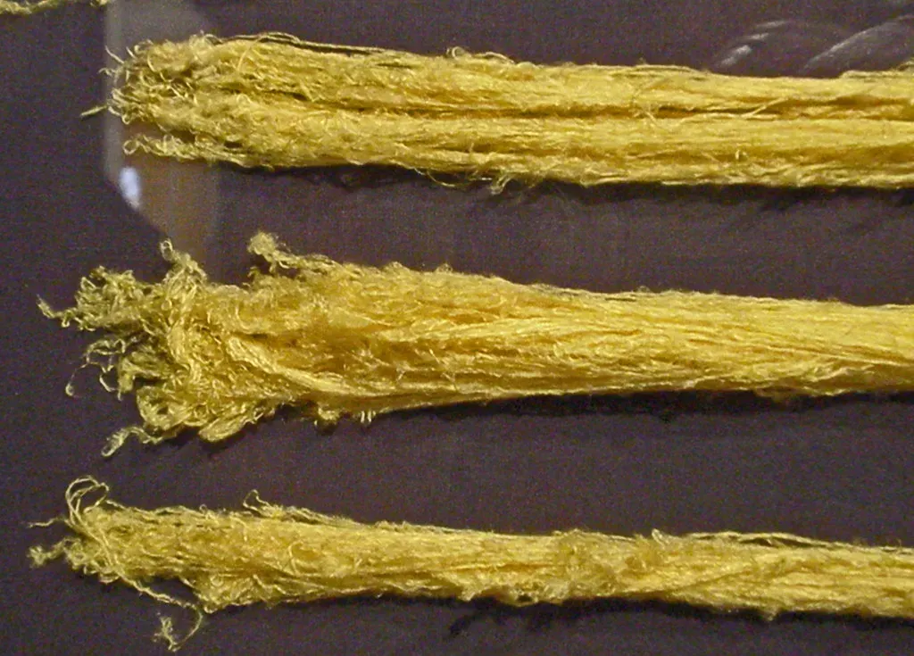 Darwin's Bark Spider Weaves the Impossible (Image Credits: Flickr)