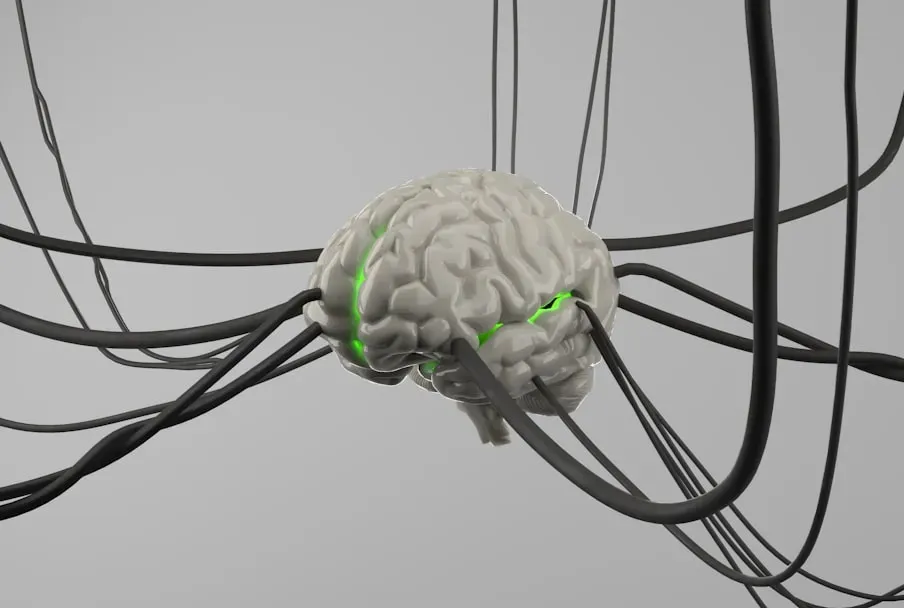 Plasticity: Your Brain Is Constantly Rewriting Itself (Image Credits: Unsplash)