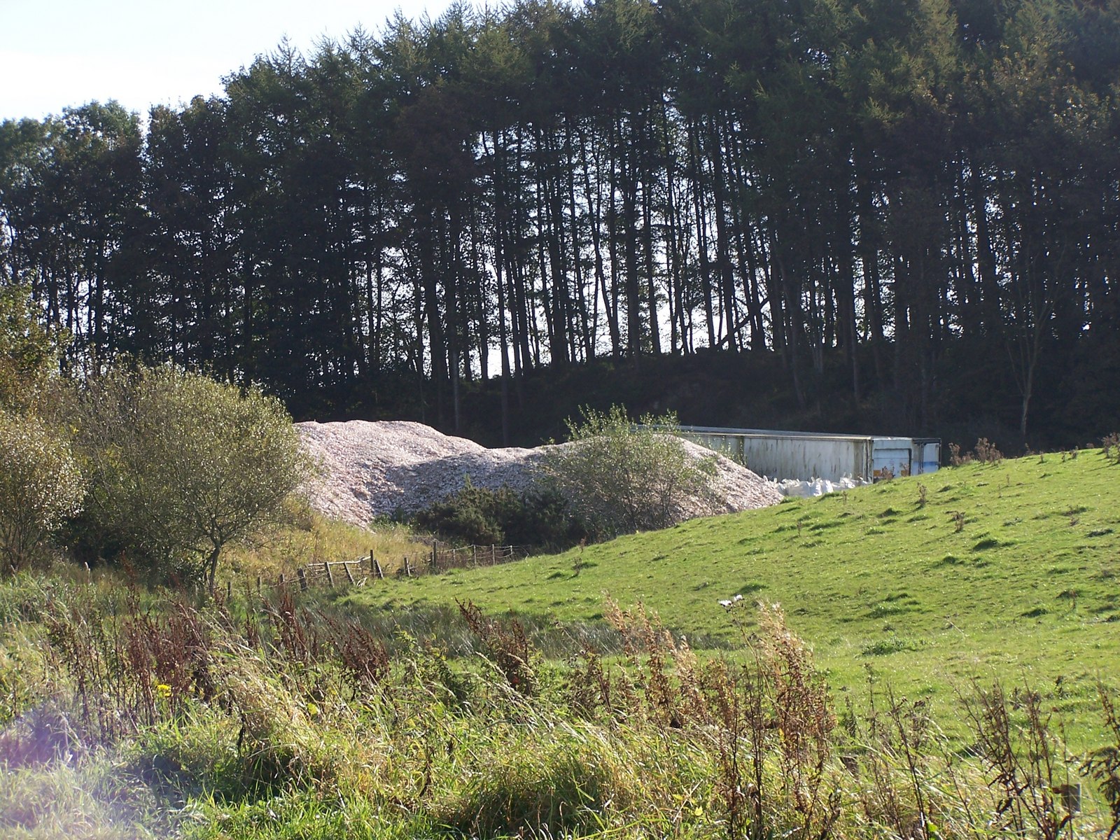 A Kingdom on Water: Mound Key and the Estuary Cities (Image Credits: Wikimedia)