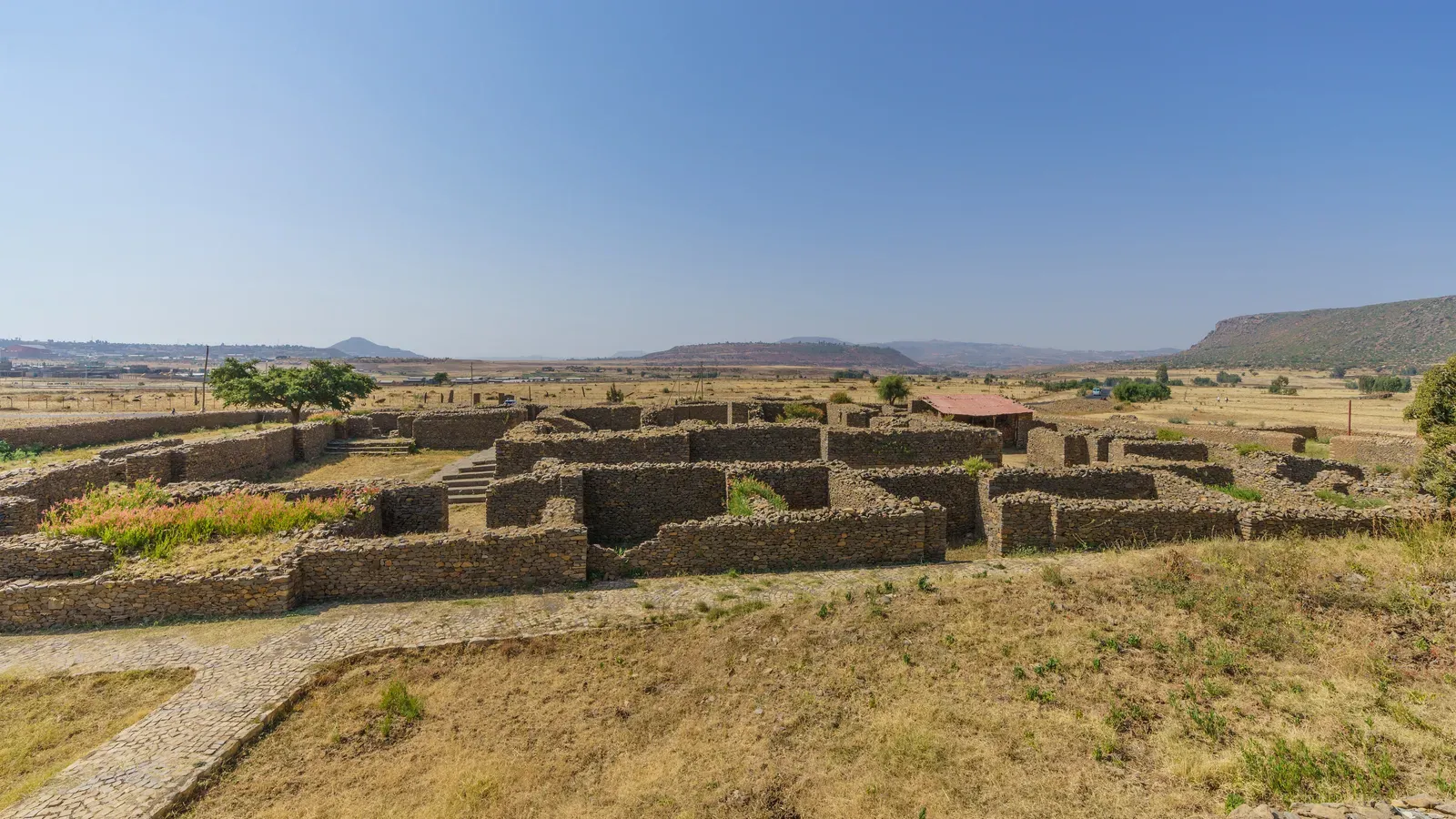 #12 - Aksum's Trade Empire Ran On Far Fewer Subjects Than Believed (By A.Savin, FAL)