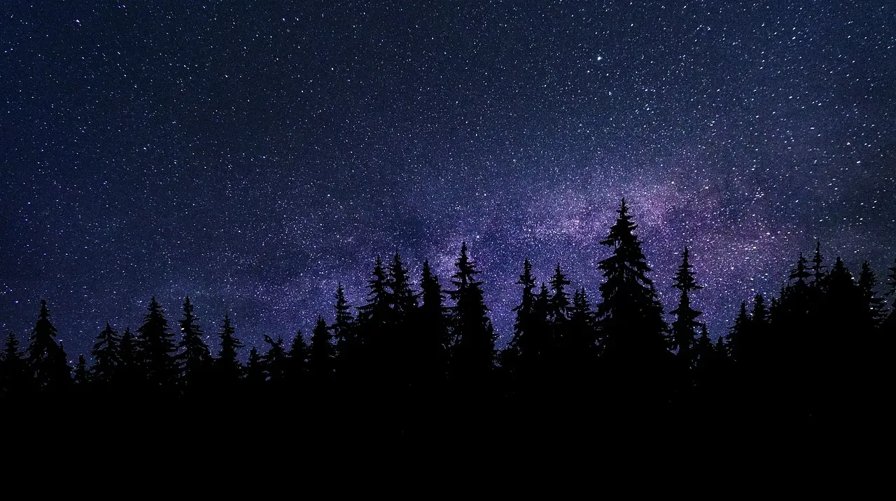 The Dark Forest Hypothesis: The Universe as a Hunting Ground (Image Credits: Pixabay)