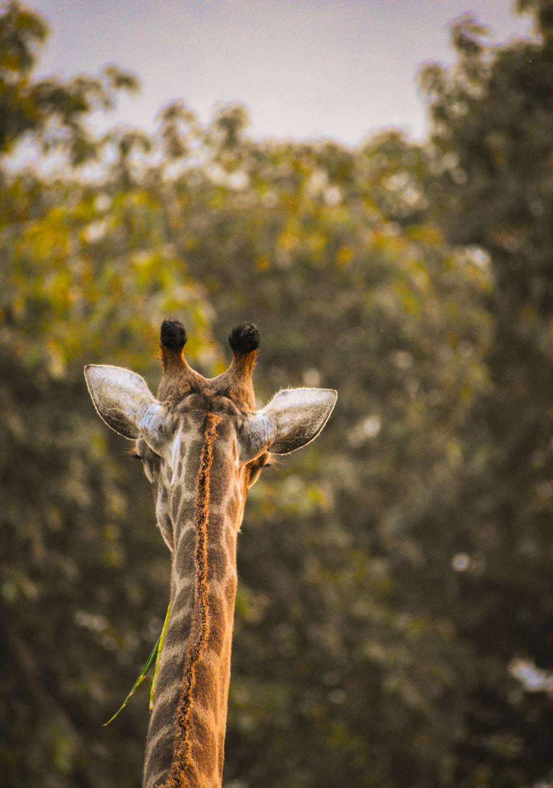 Call to Action (Image Credits: Unsplash)