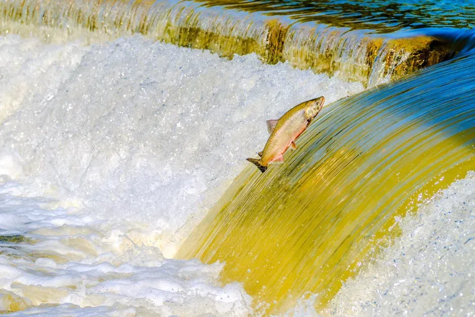 7. Salmon Runs: Bears, Crowds, and Slippery Chaos (Image Credits: Pexels)