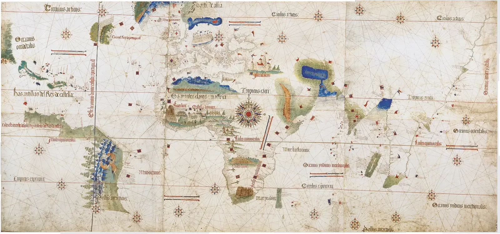 #8 – The Cantino Planisphere's Shockingly Accurate Brazil (Pieced together from Biblioteca Estense, Modena, Italy, Public domain)