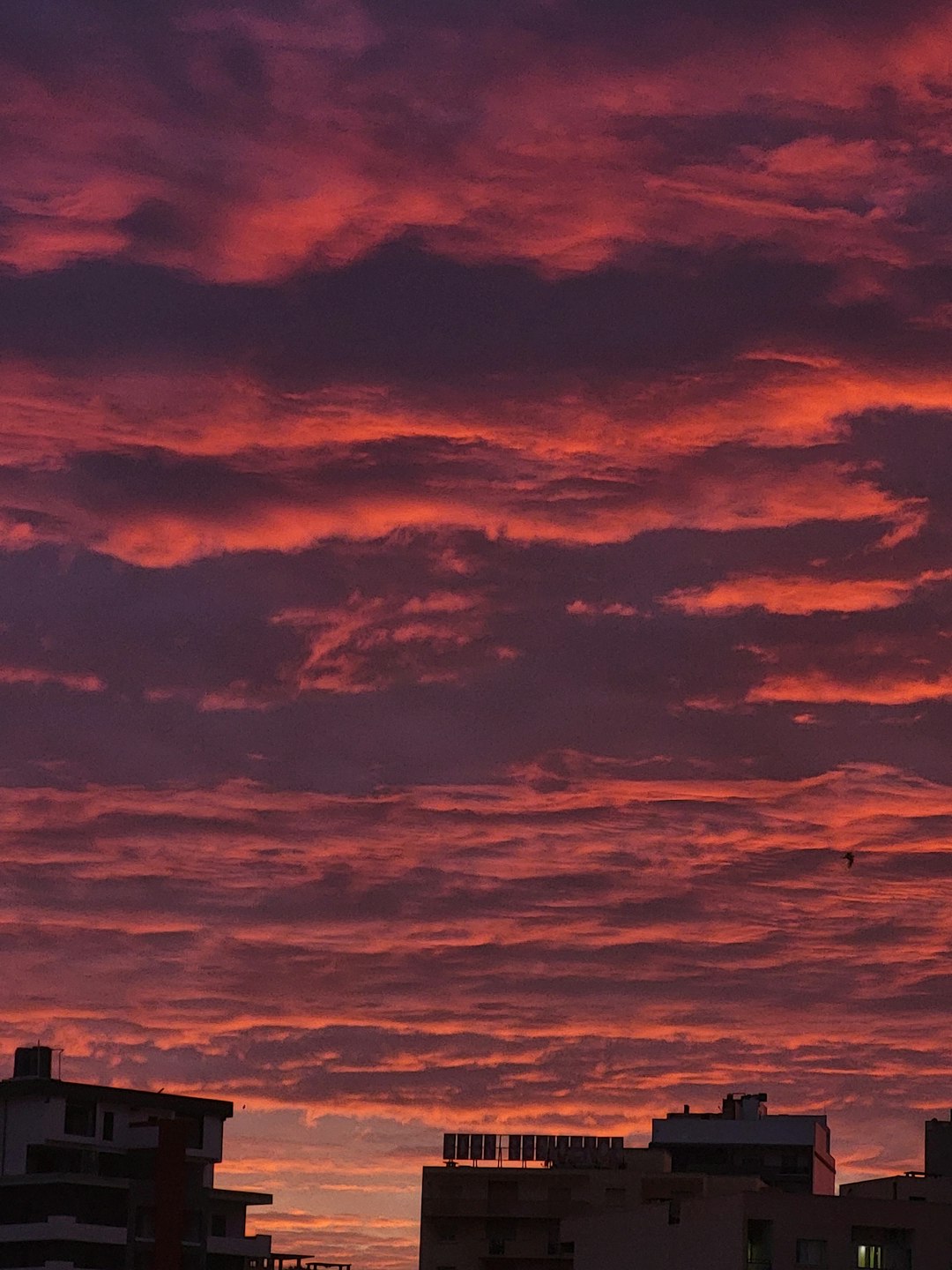 From Ancient Tools to Modern Science (Image Credits: Unsplash)