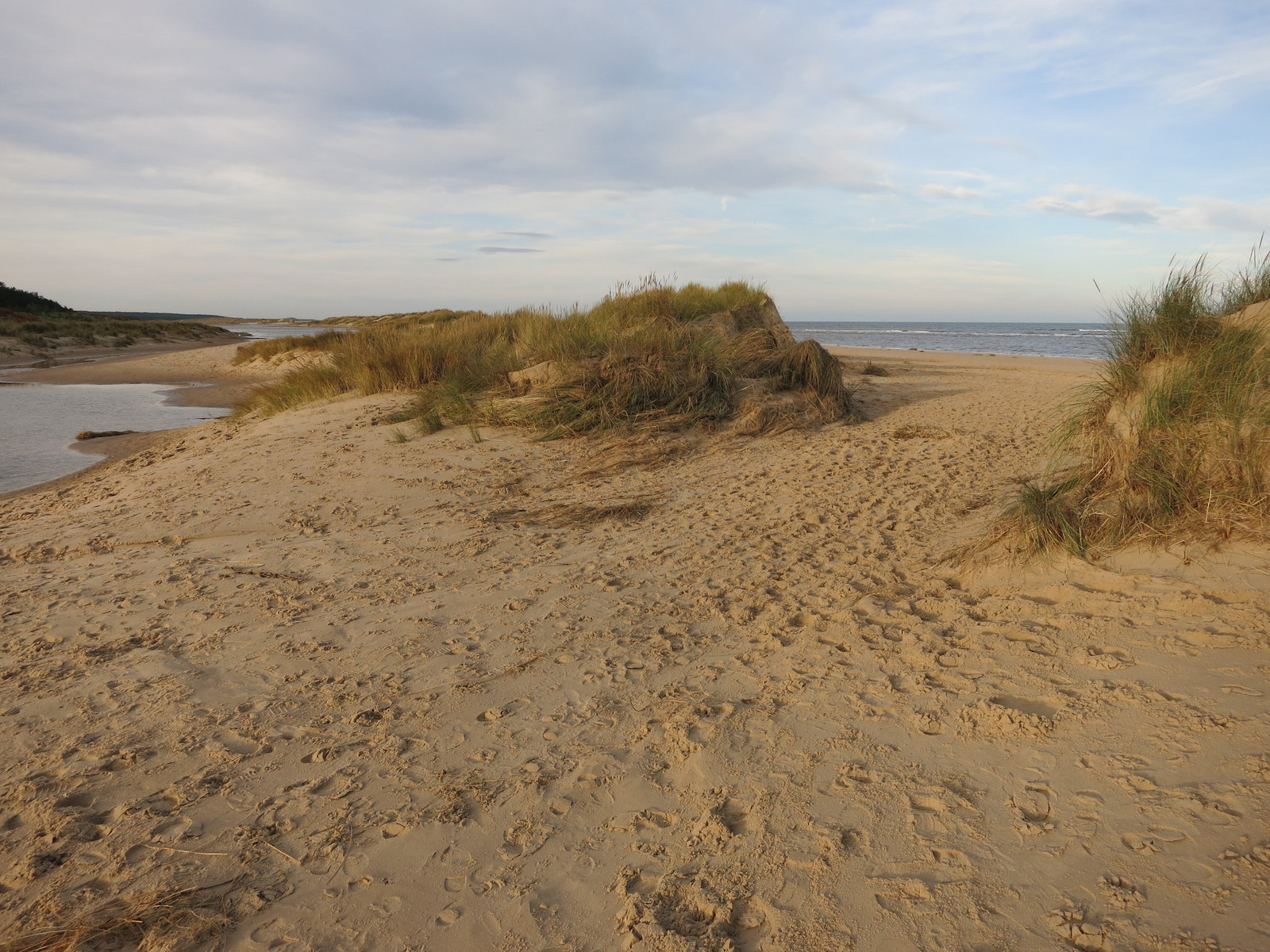 Call to Action (Image Credits: Wikimedia)