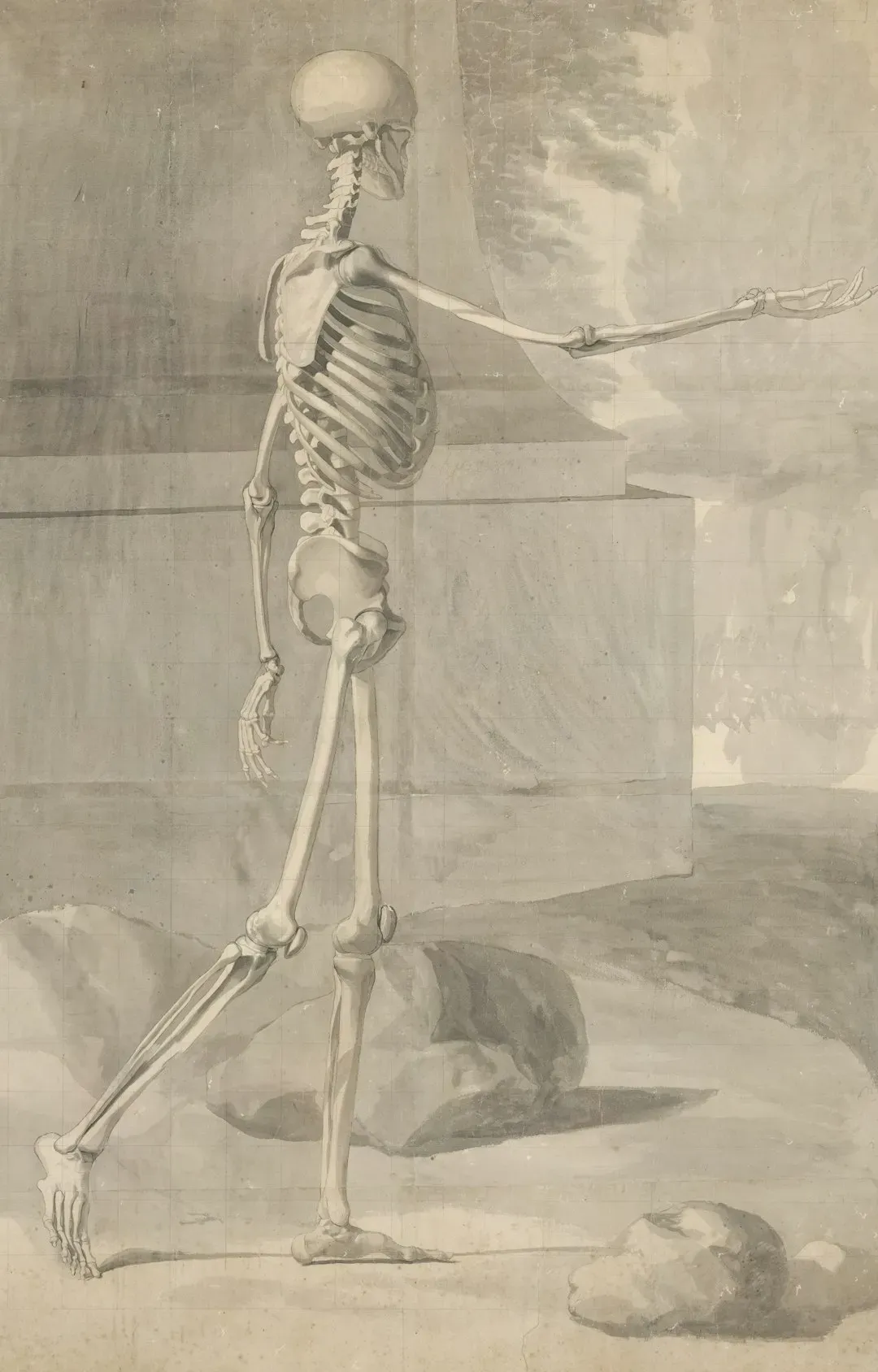 Giants in the Ground: Fossils, Tall Skeletons, and Misread Bones (Image Credits: Unsplash)