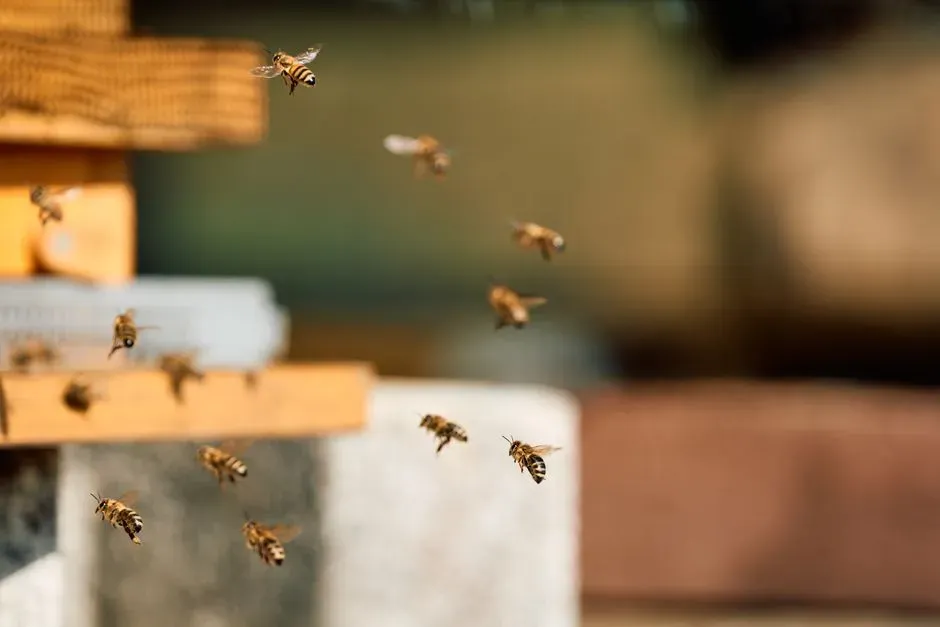 Why a Dance Evolved Instead of a Scent Trail (Image Credits: Pexels)