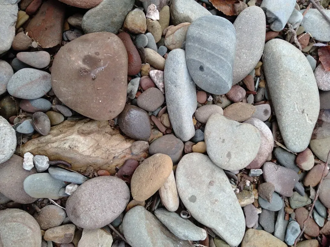 13. Stones, Shells, and Random “Test Bites” on the World (Image Credits: Unsplash)