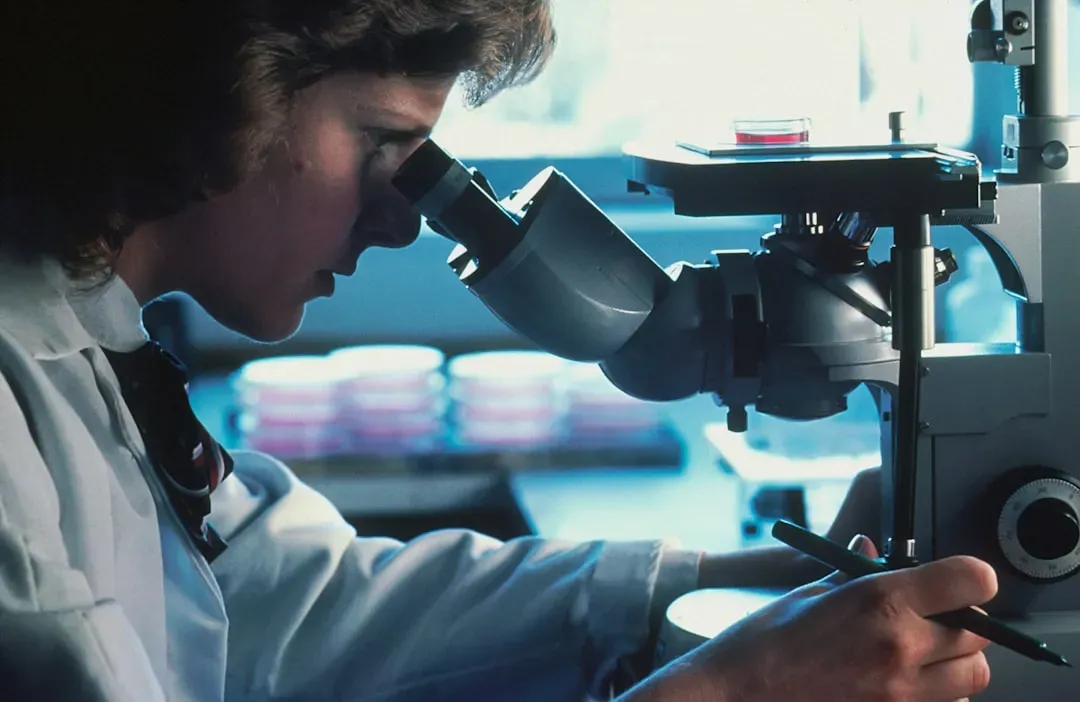 Why Centenarian Biology Doesn’t Match Your Favorite Lab Mouse (Image Credits: Unsplash)