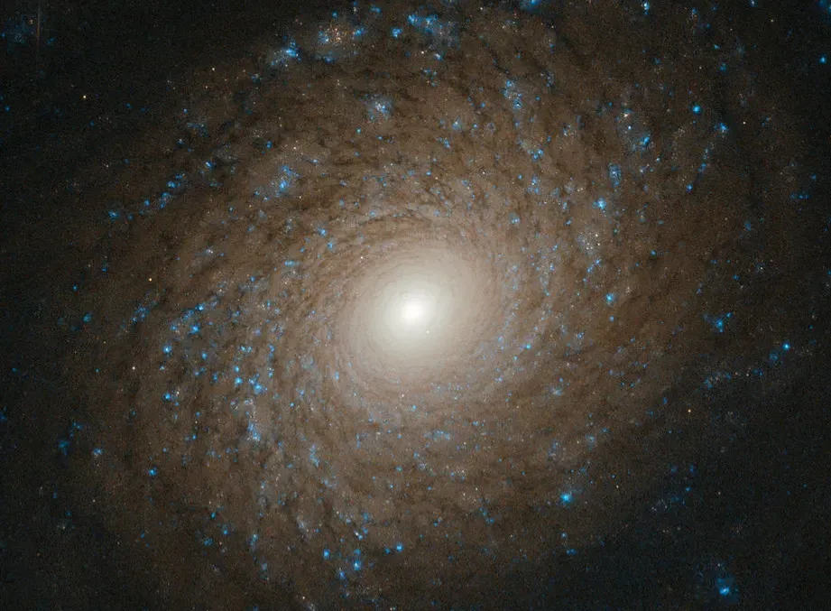 Why Not-Seeing Aliens Might Be Good News (Image Credits: Flickr)