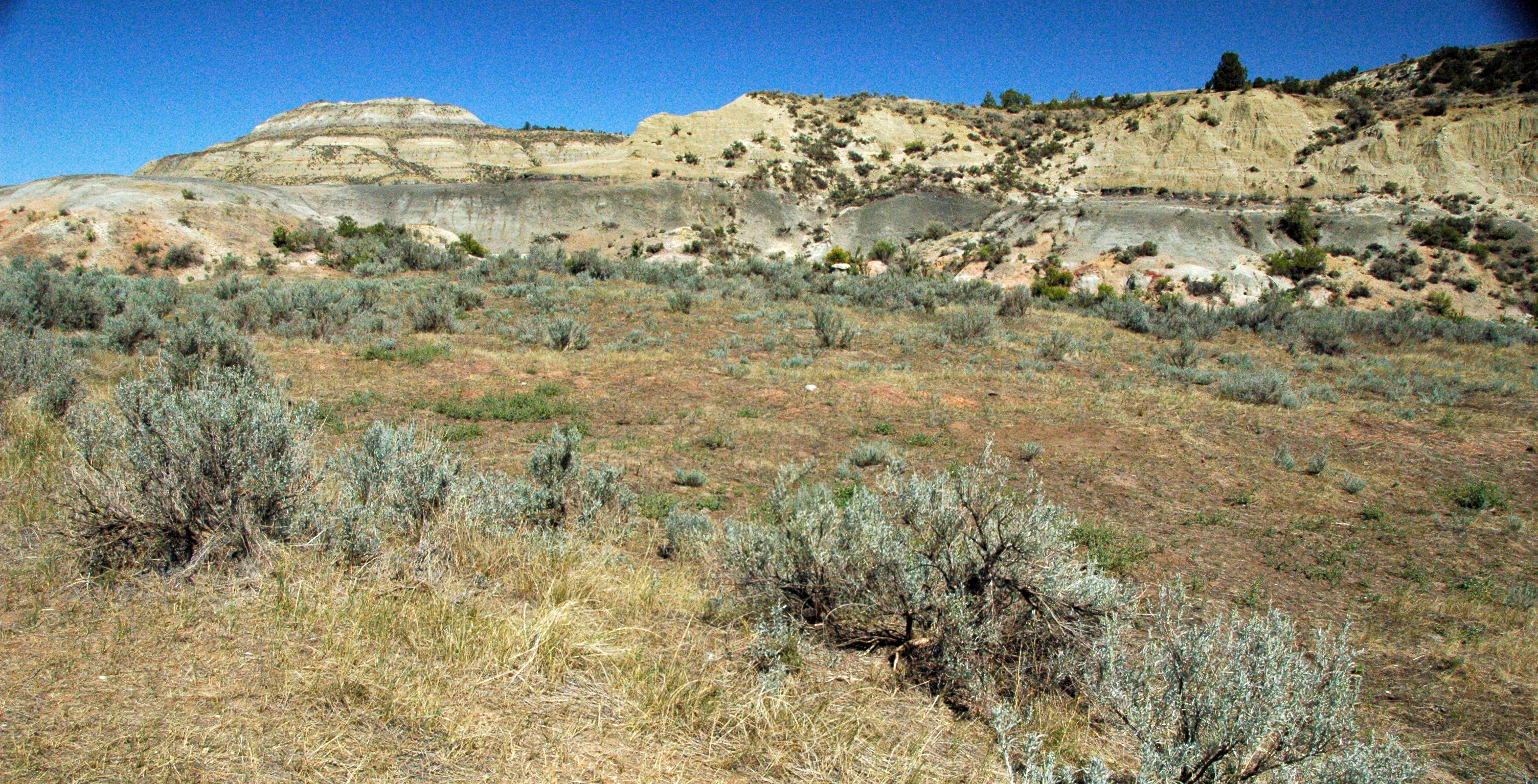 The Hidden Clues (Image Credits: Wikimedia)