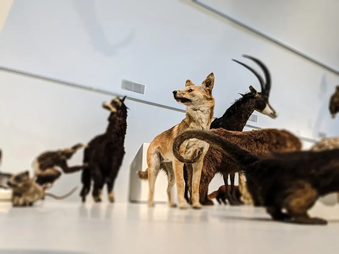 #5 - The Hidden Collection of “Failure” Taxidermy (Image Credits: Unsplash)