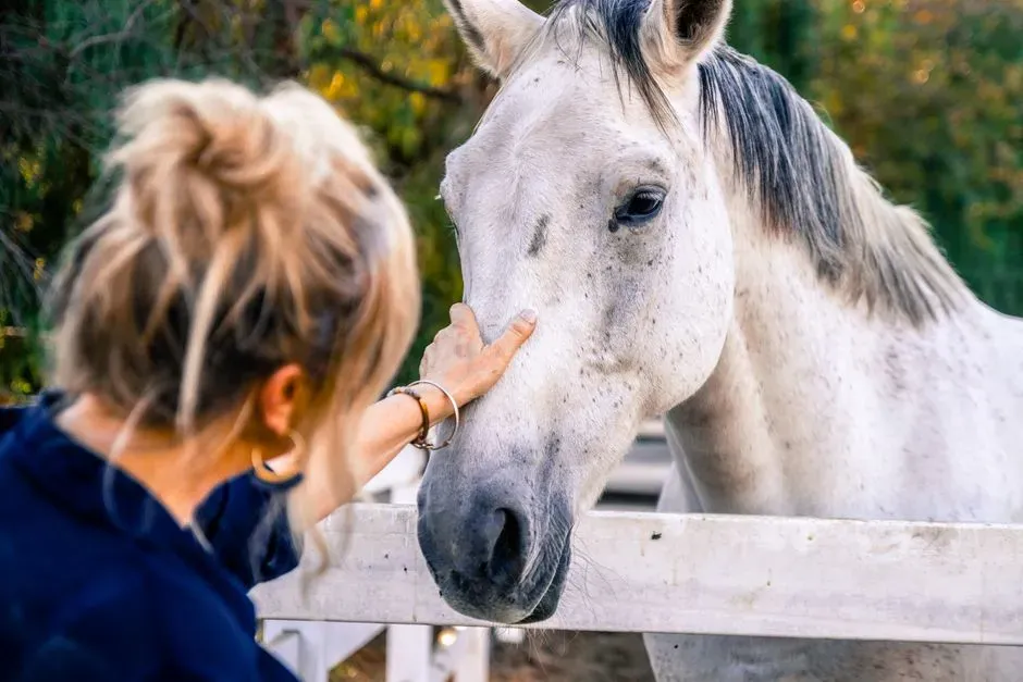 Finding Connection Without Forcing Yourself to Be “More Social” (Image Credits: Pexels)
