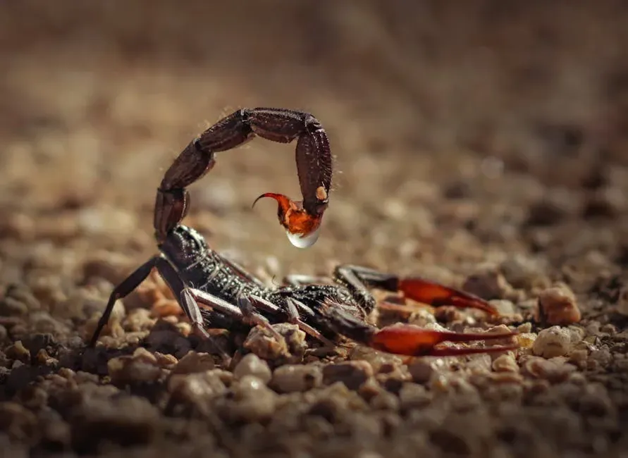 8. Scorpions: Slow-Motion Survivors of the Desert Night (Image Credits: Pexels)
