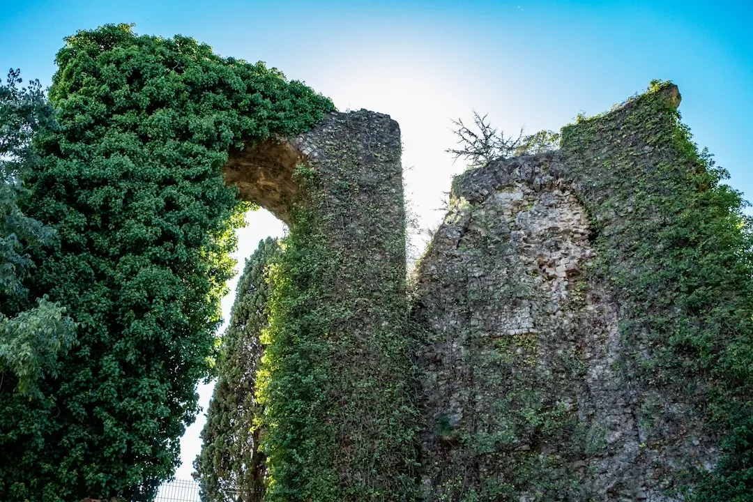 How You Can Engage: Seeing Ruins as Laboratories, Not Just Photo Backdrops (Image Credits: Unsplash)