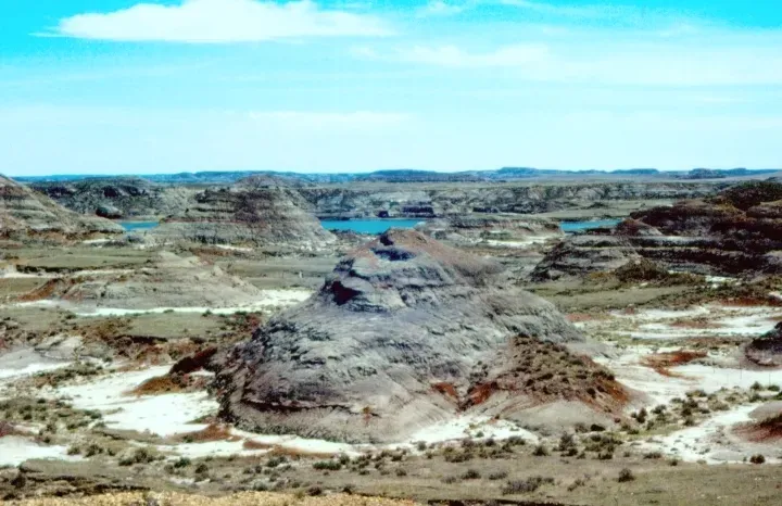 #16 - The Hell Creek Formation (USA): Mammals Were Never Just Background Extras (self-made by Anky-man, CC BY-SA 3.0)