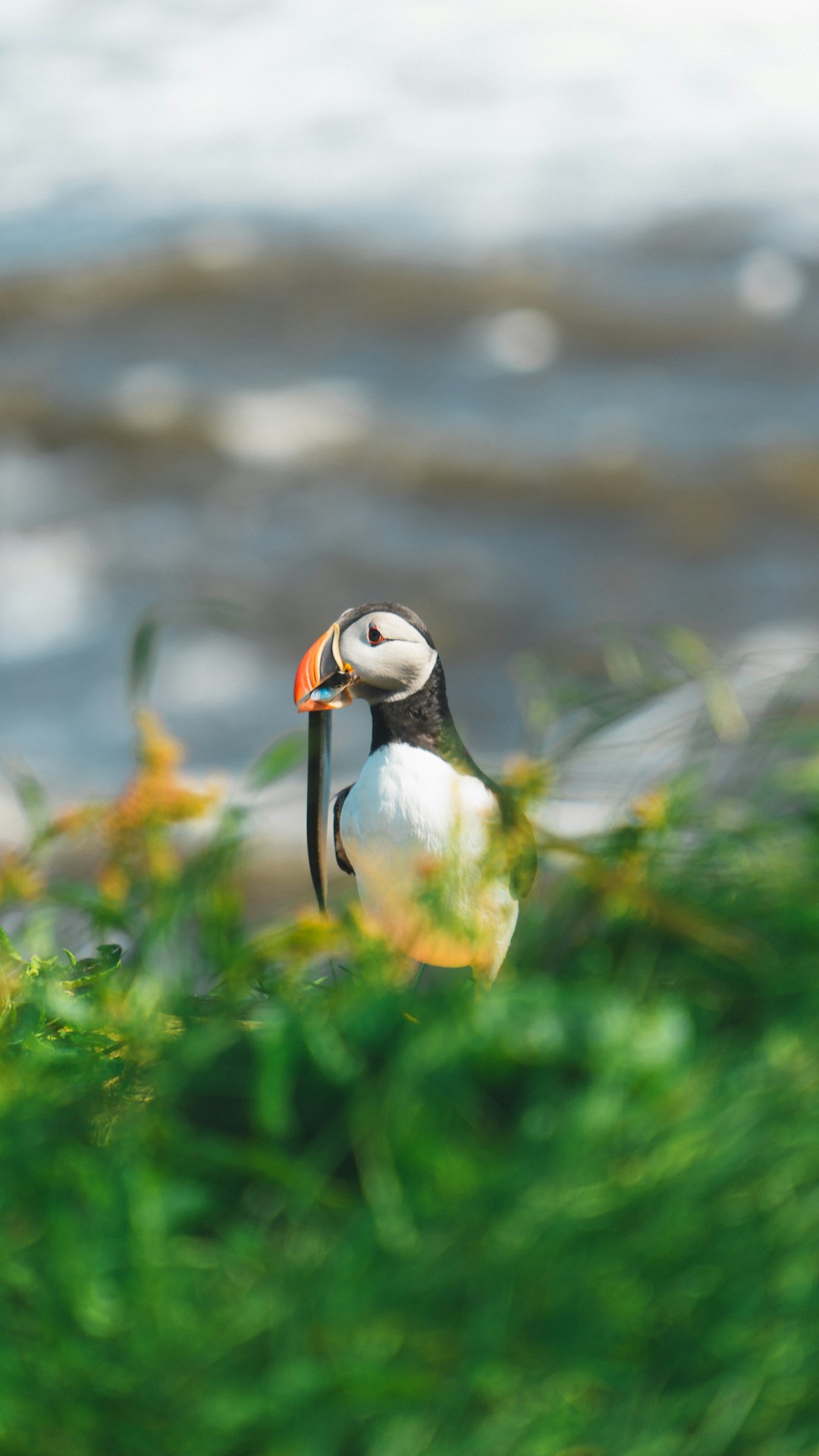 The Hidden Clues (Image Credits: Unsplash)