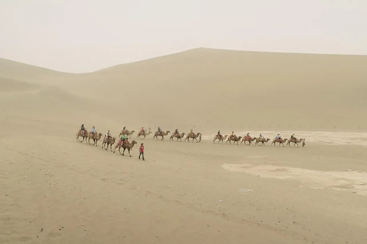 The Desert Caravan That Marched Back and Forth for the Camera (Image Credits: Pixabay)