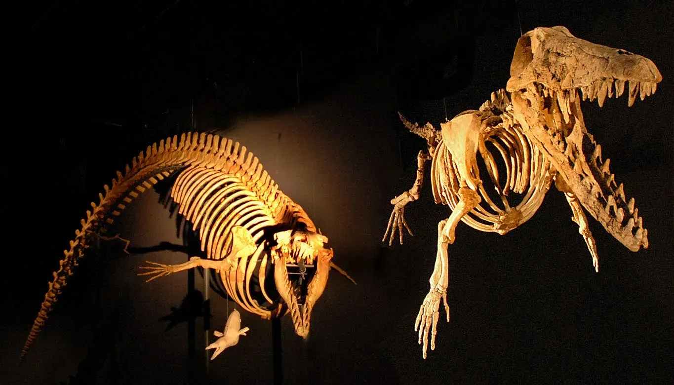 #10 - The Riverbed Skeleton With Fish Ribs and Mammal Legs (Exposition "Incroyables Cétacés !" (MNHN)Uploaded by FunkMonk, CC BY 2.0)