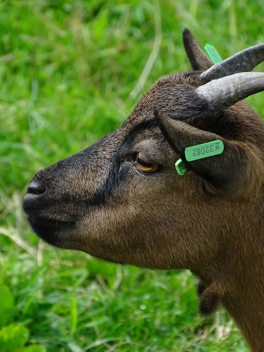 Where These Discoveries Could Take Future Technology (Image Credits: Unsplash)