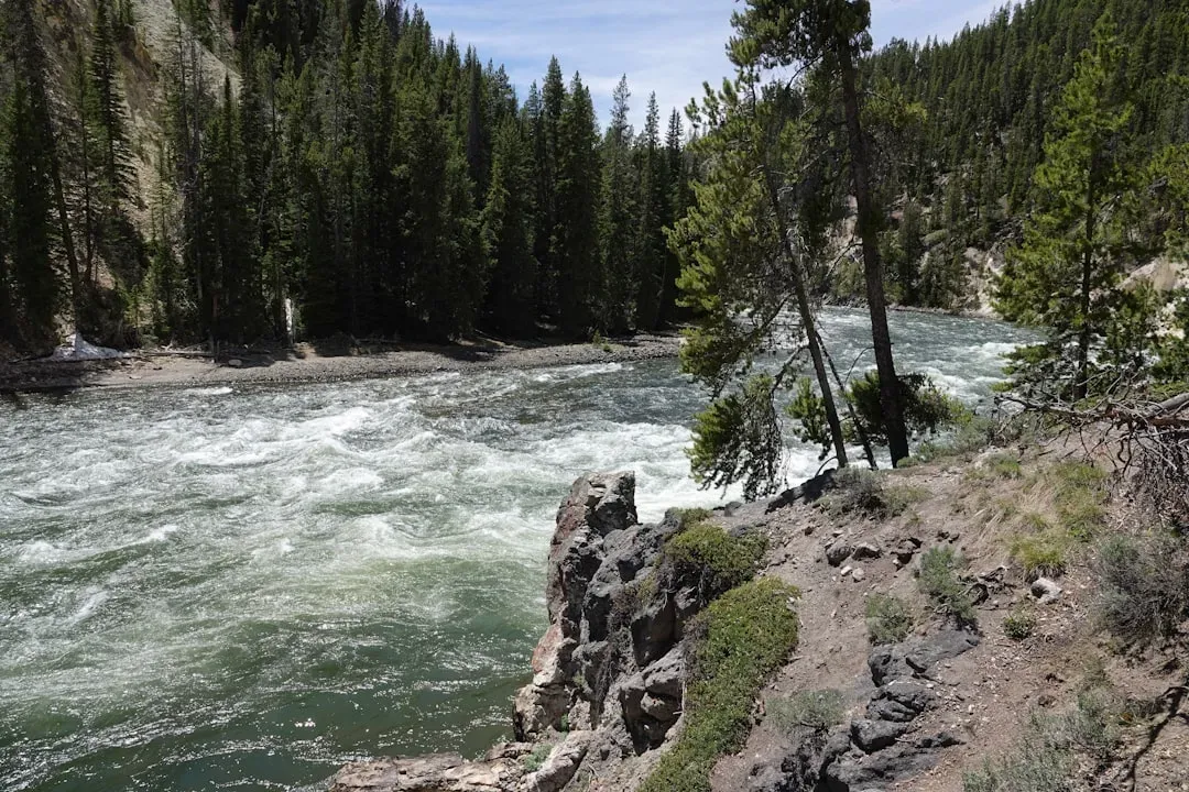 3. A 2015 Backcountry Search at the Yellowstone–Hellroaring Confluence (Image Credits: Unsplash)