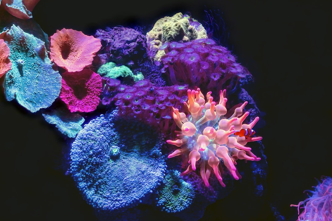 The Chemistry of Living Light (Image Credits: Unsplash)