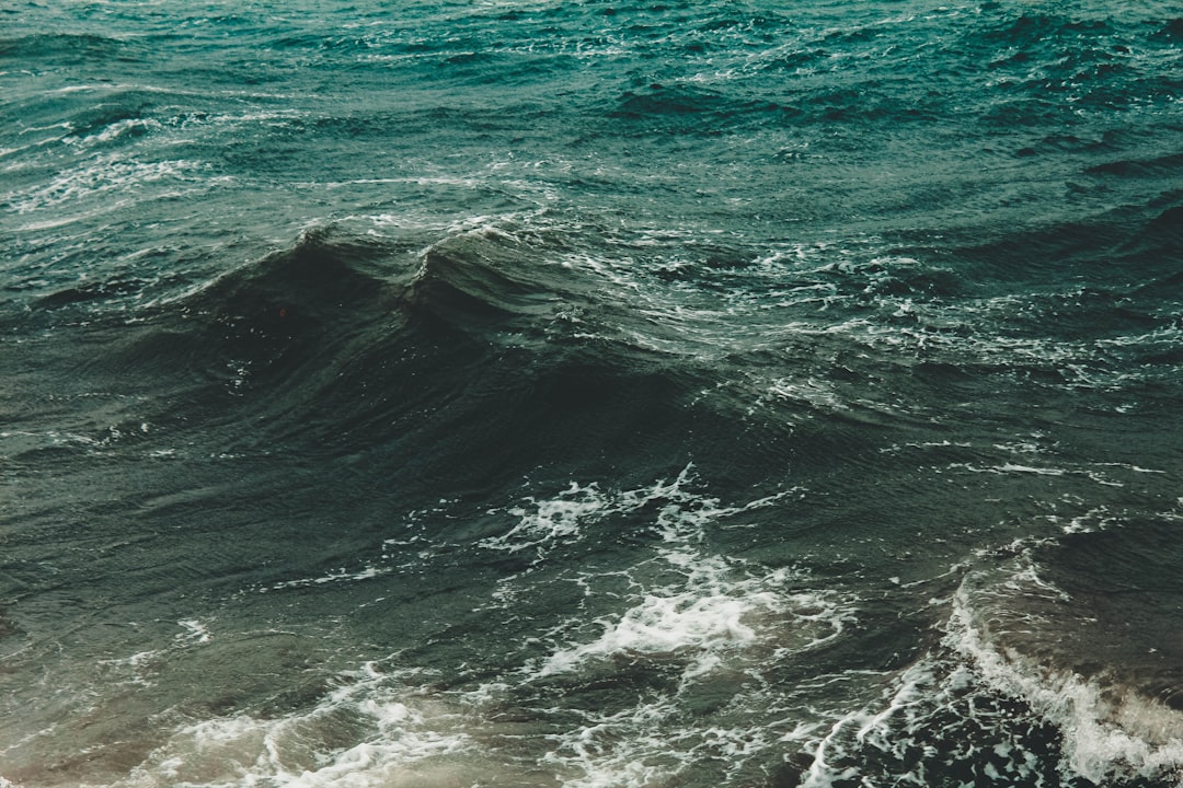 Warm Western Boundary Currents: Gulf Stream and Kuroshio (Image Credits: Unsplash)