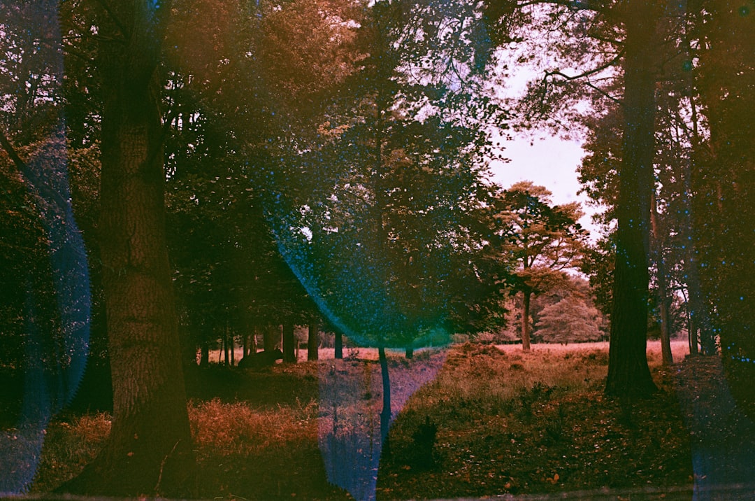 The Evidence File (Image Credits: Unsplash)